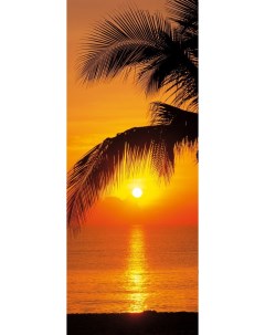2 1255 Фотообои Пальмы Пляж Восход 92смх2 2м бумажные Komar