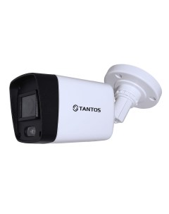 Видеокамера сетевая IP TSi P2F Tantos