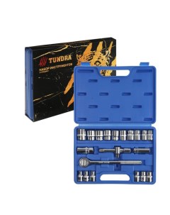 Набор инструментов в кейсе подарочная упаковка Тигр CrV 1 2 21 предмет Tundra