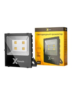 Прожектор LED XF FL COB 200W 4000K X-flash