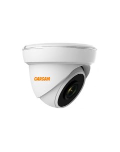 IP камера CAM 5818P Carcam