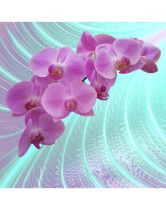 Фотообои Розовая орхидея 6155 M Московская обойная фабрика