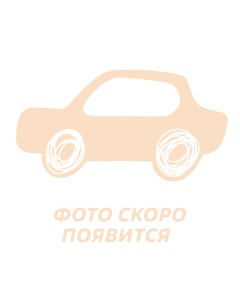 Молоток аварийный Паз