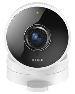 IP камера DCS 8100LH White D-link