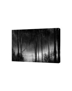 Картина на холсте на стену Туман в лесу 50х70 см Сити бланк