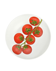 Тарелка суповая Vegetable 20 5 см цвет красный FREEDOM Taitu