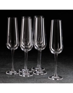 Набор бокалов для шампанского Ardea 220 мл 6 шт Crystal bohemia