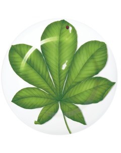 Блюдо сервировочное Leaf 31 5 см FREEDOM Taitu