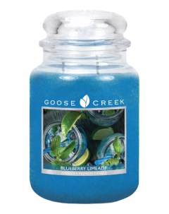 Ароматическая свеча Blueberry Limeade Черничный лимонад 680г Goose creek