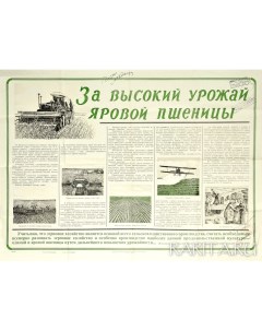 Сельскохоз плакат За высокий урожай яровой пшеницы оригинал 1954 г Rarita