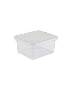 Ящик для хранения Basic с крышкой пластик прозрачный 2 л Funbox
