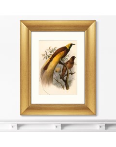 Репродукция картины в раме Большая райская птица 1880г Размер картины 40 5х50 5см Картины в квартиру
