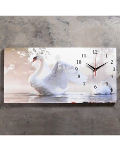 Часы картина настенные серия Животный мир Белый лебедь 40 х 76 см Сюжет