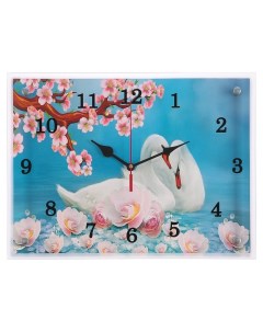 Часы серия Животный мир Лебеди 30х40 см Сюжет