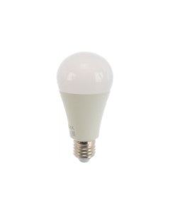 Лампа LED A65 25W E27 3K Ergolux