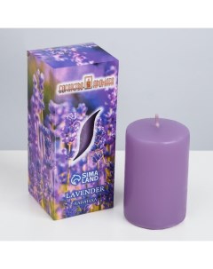 Ароматическая свеча Лаванда 4x6 см в коробке Богатство аромата