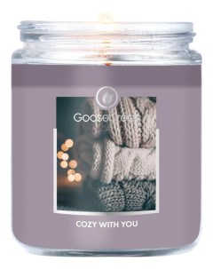 Ароматическая свеча Cozy With You Уютно с тобой 198г Goose creek