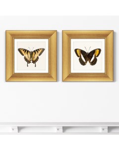Набор из 2 х репродукций картин в раме Two butterflies 1711г Размер каждой 35 5х35 5см Картины в квартиру