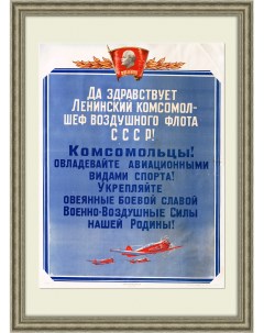ВВС и авиация ДОСААФ агитационный плакат Rarita