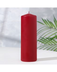 Свеча цилиндр 5х15 см бордо лакированная Богатство аромата