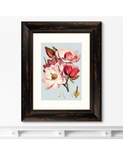 Репродукция картины в раме Himalaya Plants Pink Flower 1869г Размер картины 40 5х50 5см Картины в квартиру