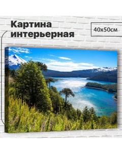 Картина 40х50 см Озеро Тахо XL0015 с креплениями Добродаров