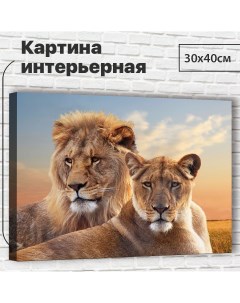 Картина Лев и львица 30х40 см M0011 с креплениями Добродаров