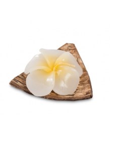 Свеча на кокосовой скорлупе о Бали 36 011 113 35159 Decor and gift