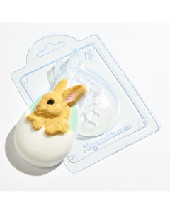 Форма для шоколада пластиковая кролик в скорлупе Anymolds