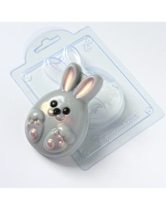Форма для шоколада пластиковая яйцо кролик Anymolds