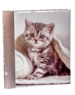 Фотоальбом Котёнок на 60 магнитных страниц 23х28 см Pioneer