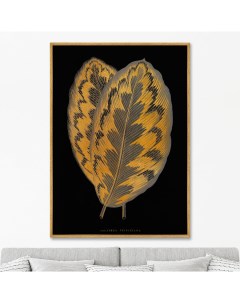 Репродукция картины на холсте Calathea Veitchiana leaf 1865г 75х105см Картины в квартиру