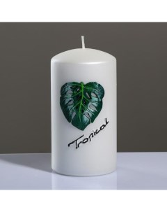 Свеча цилиндр Tropical 8 15 см жемчужный белый Trend decor candle