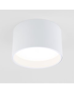 Потолочный акцентный LED светильник Banti 25123 LED белый 3000K 13 Вт Elektrostandard
