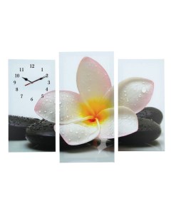 Часы настенные модульные серия Цветы Цветок на камнях 60х80 см Сюжет