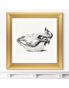 Репродукция картины в раме Skull I 1816г Размер картины 60 5х60 5см Картины в квартиру