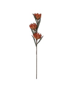 Искусственный цветок леукадендрон chuangxin 87 см Linyi