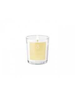 Ароматическая свеча Emocean с соевым воском PLAYFUL Citrus 60 мл Nuè