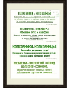 Семена золотой фонд колхозов и совхозов Советский плакат 1954 г Rarita