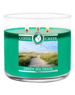 Ароматическая свеча Green Sea Grass Зеленая морская трава 411г Goose creek