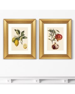 Набор из 2 х репродукций картин в раме Juicy fruit lithography 10 1870г 40 5х50 5см Картины в квартиру