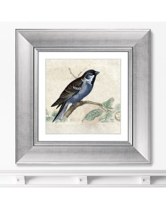 Репродукция картины в раме Птицы винтажная почтовая открытка 1 1918г 35 5х35 5см Картины в квартиру