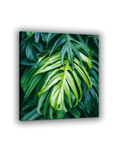 Картина 52х52 Пальмовые листья КК 0007 1 Добродаров