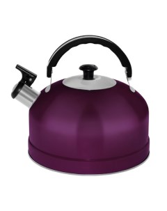 Чайник IRH 402 2 5л нержавеющая сталь фиолетовый Irit