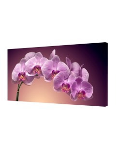 Картина на холсте Ветка орхидеи 50 100 см Topposters