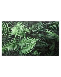 Картина на холсте Листья папоротника 60х100 см Topposters
