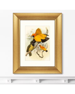 Репродукция картины в раме Золотые райские птицы 1885г Размер картины 40 5х50 5см Картины в квартиру