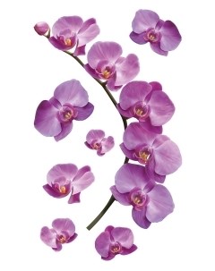 НАКЛЕЙКИ ДЕКОРАТИВНЫЕ ВИНИЛОВЫЕ Веточка орхидеи Divino sticky