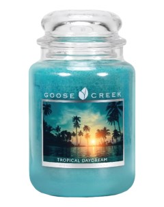 Ароматическая свеча Tropical Daydream Тропические мечты 680г Goose creek