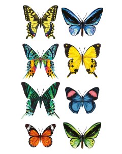 НАКЛЕЙКИ ДЕКОРАТИВНЫЕ ВИНИЛОВЫЕ Разноцветные бабочки Divino sticky